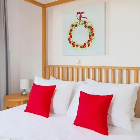 Bella Andros Villa *