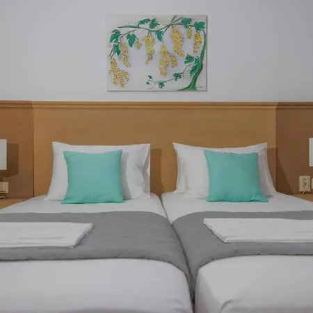 Villa Bella Andros *