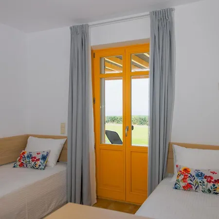 Bella Andros Villa *